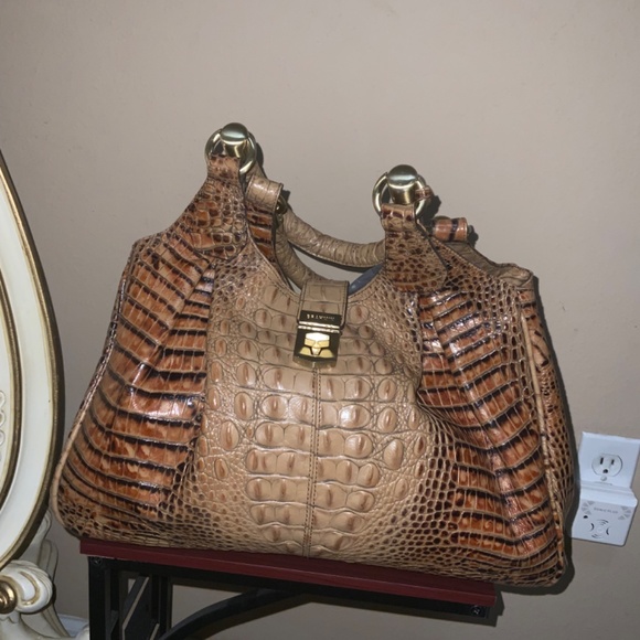 Brahmin - Picture 9 of 9